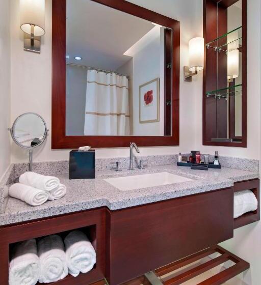 琮城市景观的豪华间, Guyana Marriott Hotel Georgetown