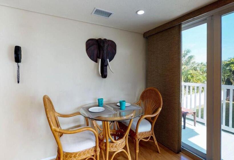 דירת חדר, Safari Suite
