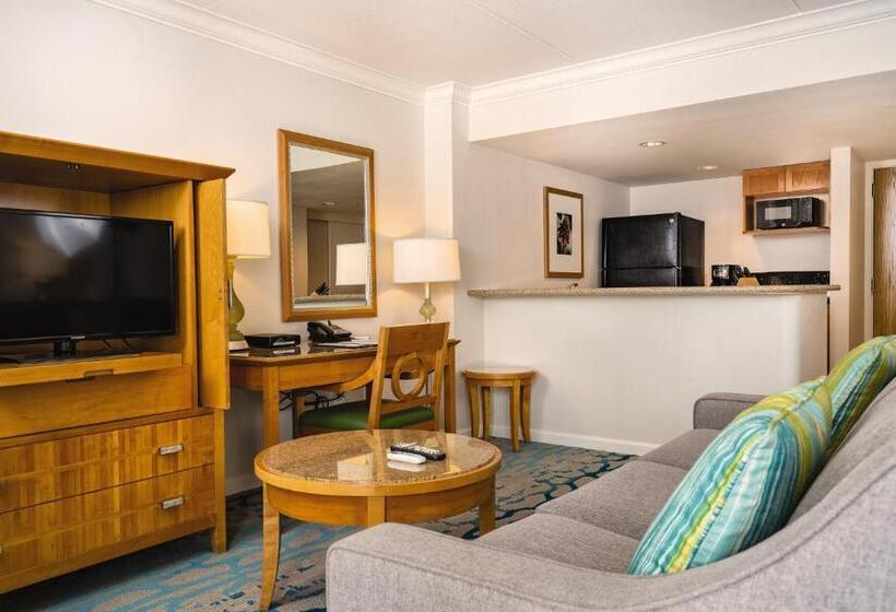 استودیوی استاندارد با چشم‌انداز شهر, Waikiki Marina Resort At The Ilikai