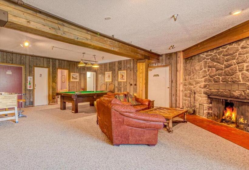 Апартаменты 3 Спальни, Skiway Lodge At Thunderhead