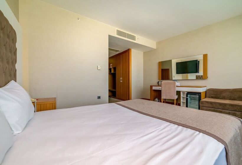 Номер Стандарт Индивидуальный, Armas Termal Resort