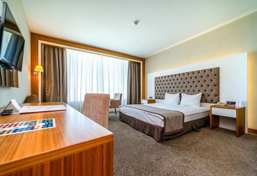 Номер Стандарт, Armas Termal Resort