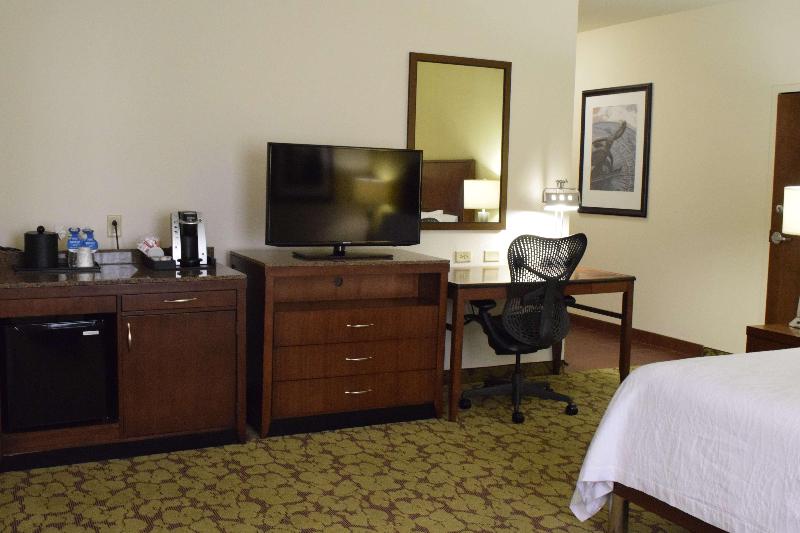 Стандартный Номер Кровать Кинг, Hilton Garden Inn Rochester Downtown, Ny