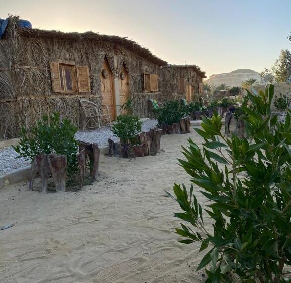 اتاق اکونومی, Tijan Siwa