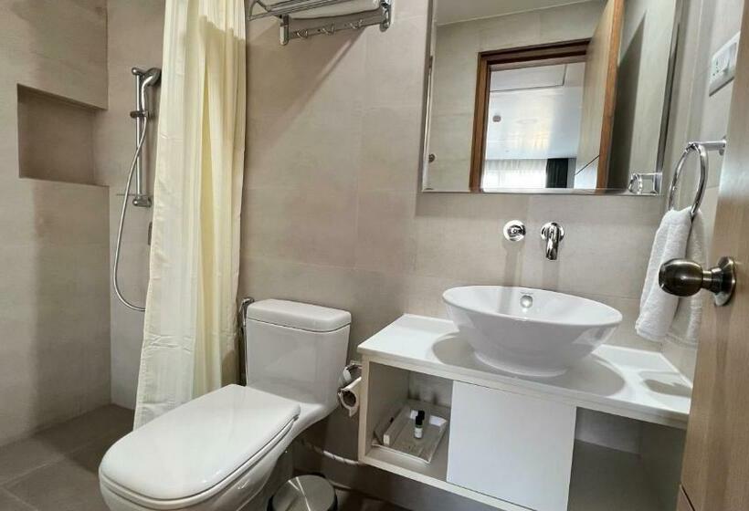 اتاق استاندارد با تخت بزرگ, Aurora Boutique Hotel Imphal