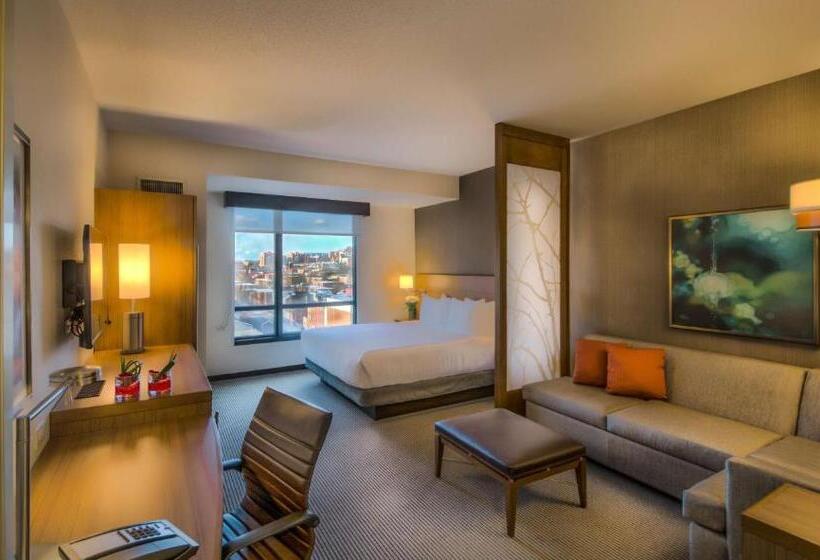 اتاق استاندارد با تخت بزرگ, Hyatt Place Baltimore Inner Harbor