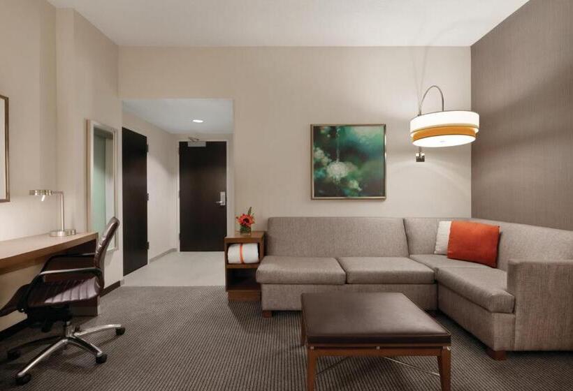 Номер Стандарт Кровать Кинг Адаптированный для Инвалидов, Hyatt Place Baltimore Inner Harbor