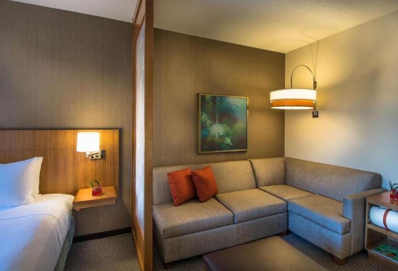 身障者適用スタンダードルーム, Hyatt Place Baltimore Inner Harbor