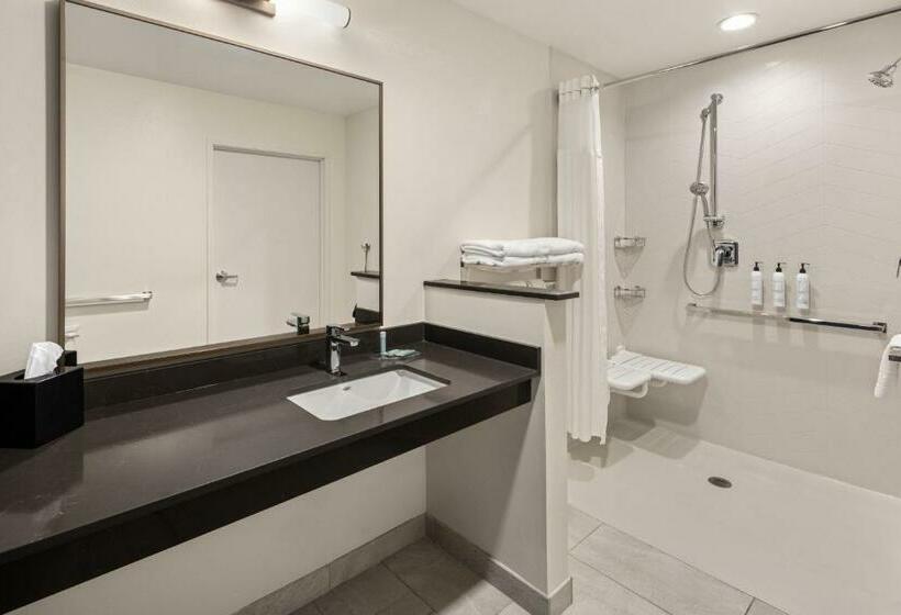 اتاق استاندارد با تخت بزرگ, Fairfield By Marriott Inn & Suites Yankton