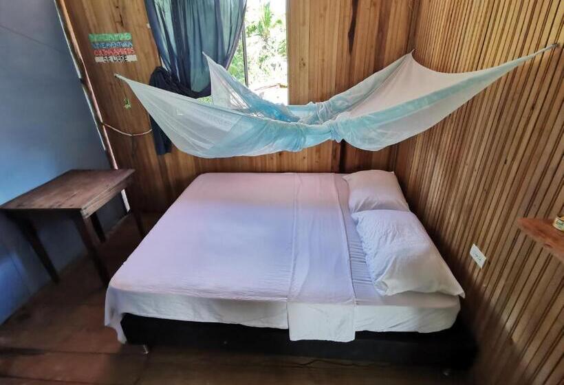 스탠다드 룸, Chowa Lodge