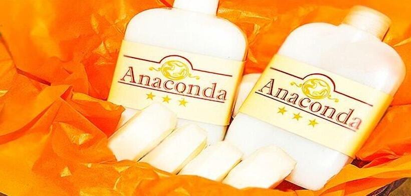 스탠다드 싱글 룸, Anaconda