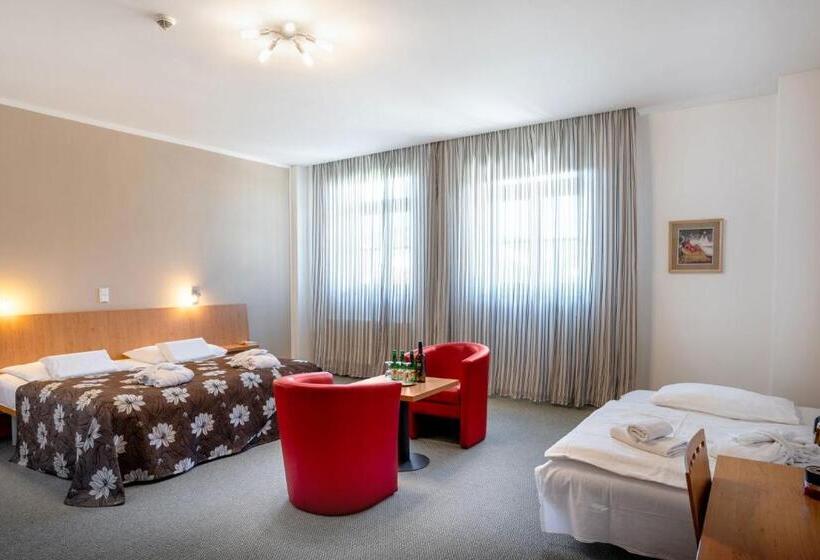 Трехместный Номер Deluxe, Galant Mikulov