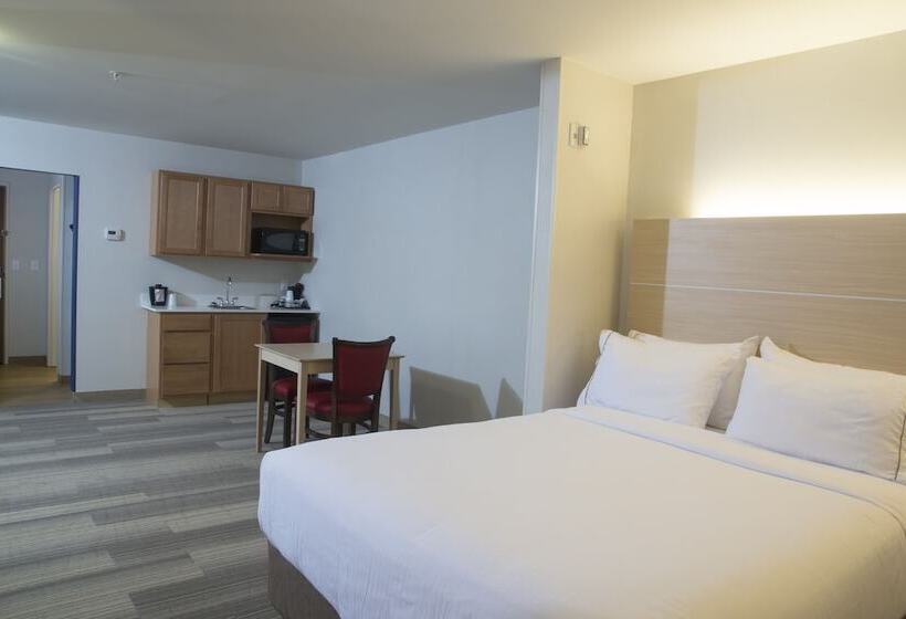 Номер Стандарт, Holiday Inn Express Rochester Hills, An Ihg