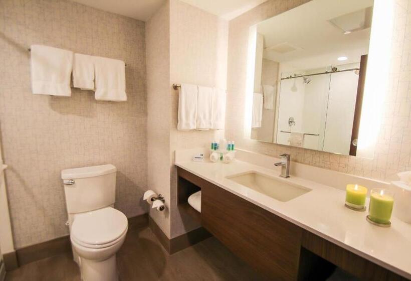 Номер Стандарт Кровать Кинг Адаптированный для Инвалидов, Holiday Inn Express & Suites Miami Airport East, An Ihg