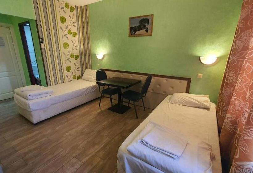 Апартаменты 1 Спальня, Live Inn Bulgaria Town Svishtov