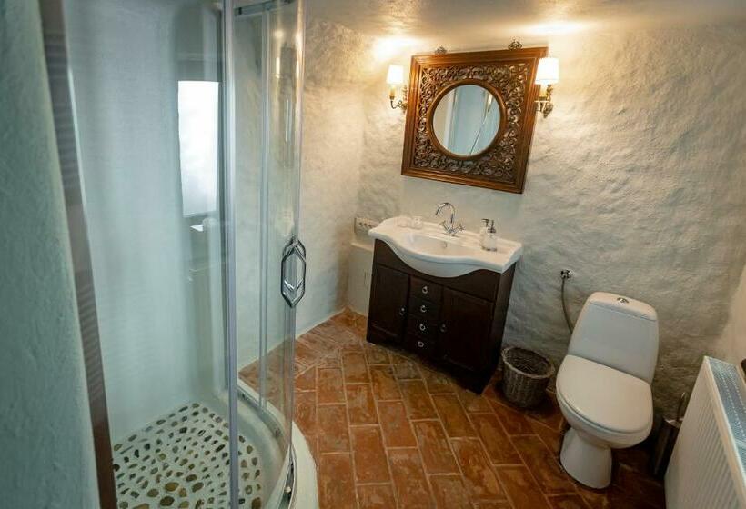 ویلای سوپریور 1 خوابه, Vilegiatura/florica Socolescu Villa