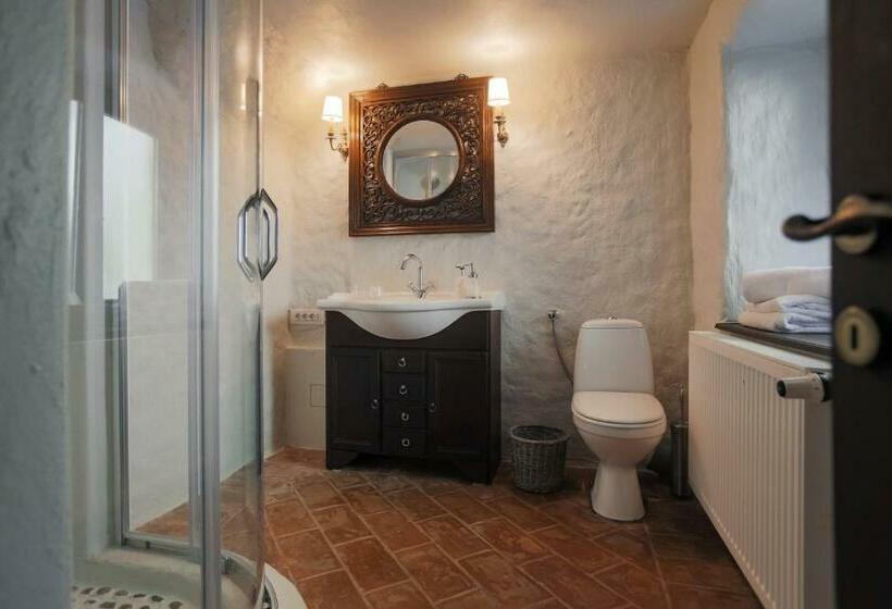 ویلای سوپریور 1 خوابه, Vilegiatura/florica Socolescu Villa