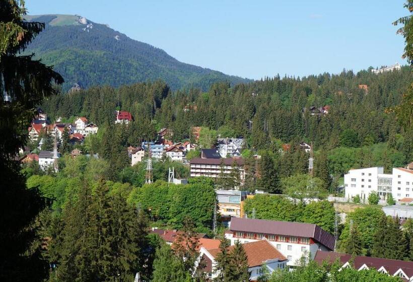 Дом 1 Спальня, Pension Casa Del Sol Predeal