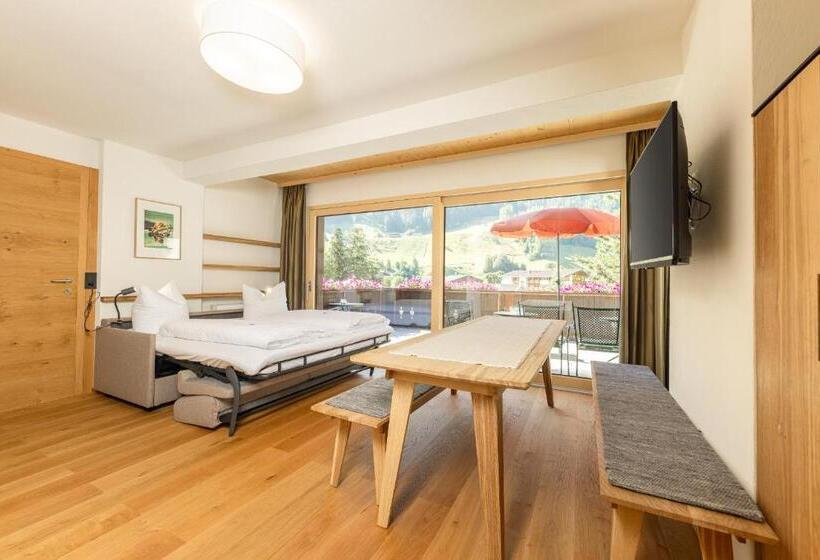 Апартаменты 1 Спальня с Террасой, Pension Gulla   Ferienhaus Appartements B&b