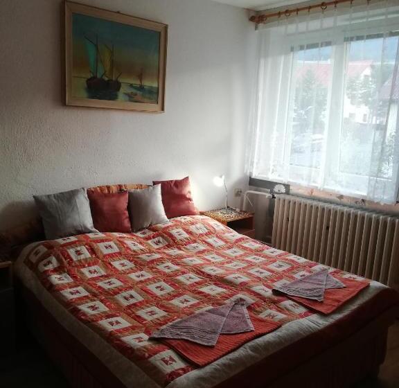 Четырехместный Номер Стандарт, Privat Ludmila