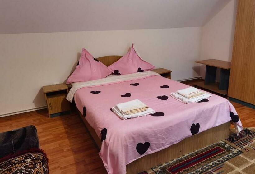 标准间, Casa Girbacea