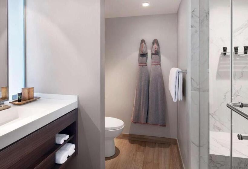 اتاق استاندارد با تخت بزرگ, Hyatt Centric South Beach Miami