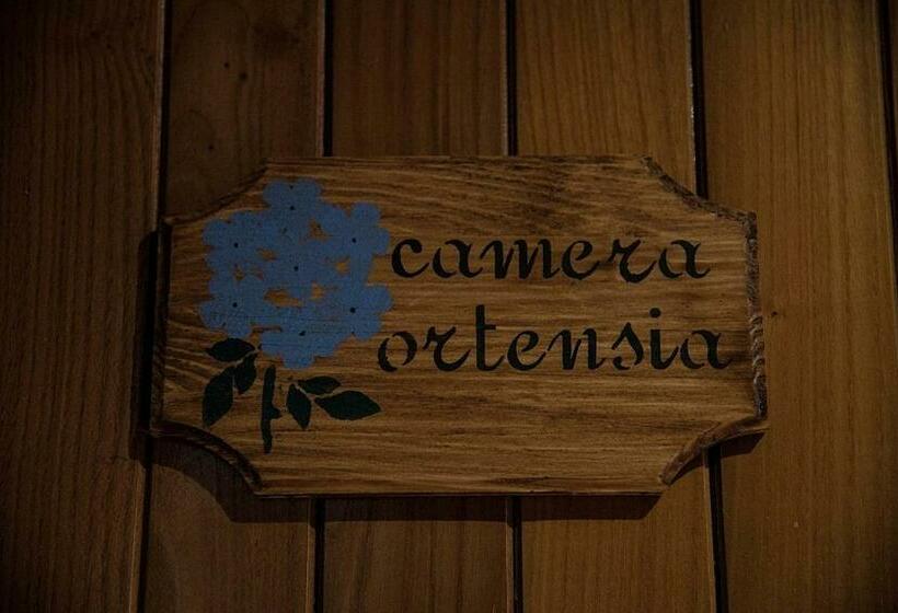 اتاق استاندارد با سرویس بهداشتی مشترک, B&b La Capanna Rossa