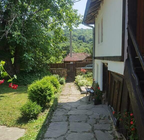 Номер Стандарт Четырехместный Совместный Санузел, Vitanova Guest House