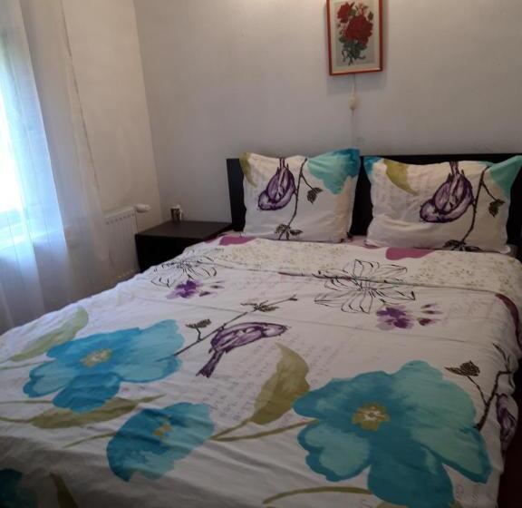 Номер Стандарт Совместная Ванная, Vitanova Guest House