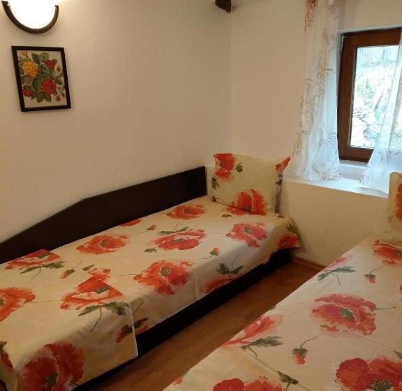 Номер Стандарт Совместная Ванная, Vitanova Guest House
