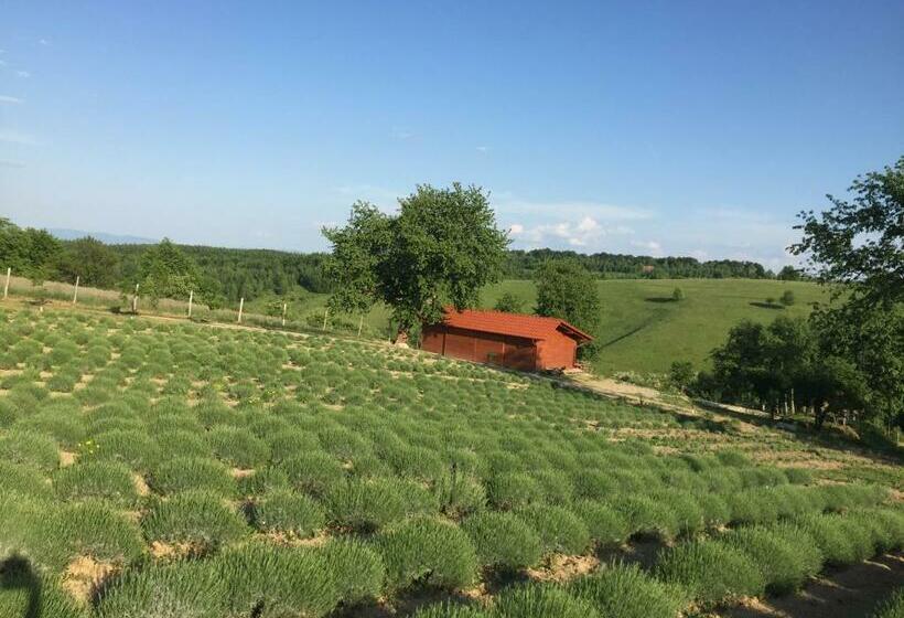 Четырехместный Номер Стандарт, Rose Hip Hill Farm