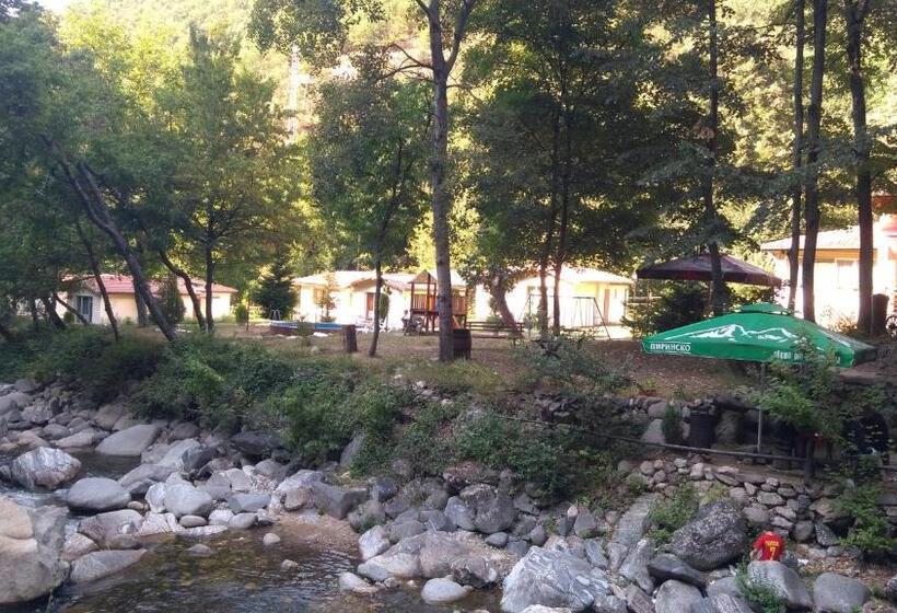 Номер Стандарт, Valdis