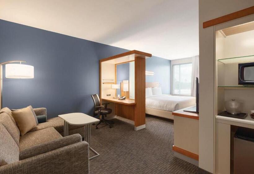 带大床的套房, Springhill Suites By Marriott Houston Northwest