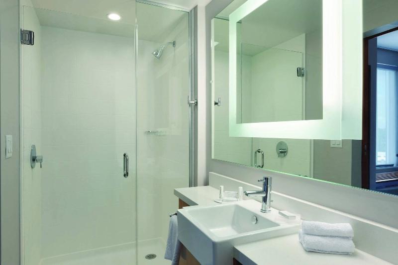 带大床的套房, Springhill Suites By Marriott Houston Northwest