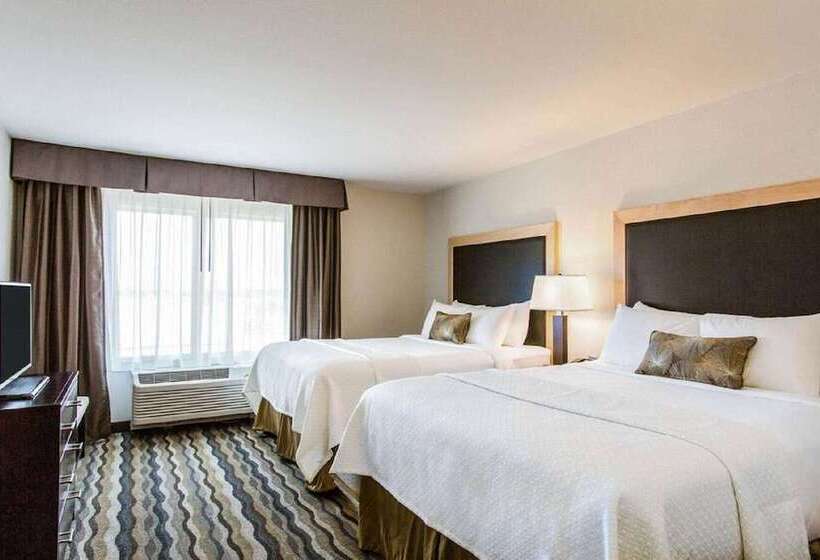 Люкс Адаптированный для Инвалидов, Wyndham Avon