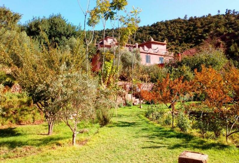 Номер Стандарт, Ourika Timalizène Le Jardin Des Délices