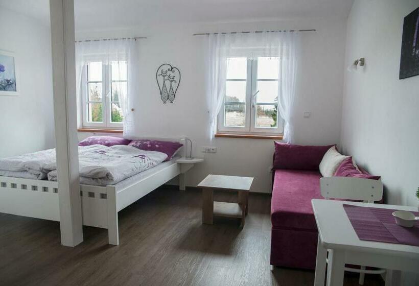 Номер Deluxe, Penzion U červené Podkovy
