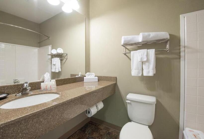 Quarto Estandar Cama King, Bakken Airport Xwa Hotel & Studios