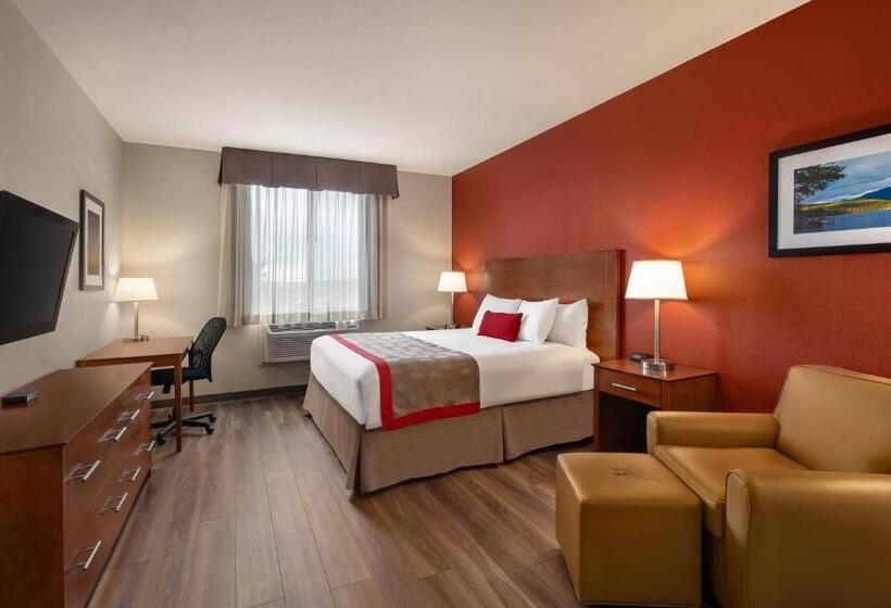 Quarto Estandar Cama King, Bakken Airport Xwa Hotel & Studios