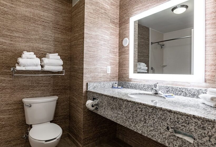 Люкс Адаптированный для Инвалидов, Holiday Inn Express & Suites Ironton, An Ihg