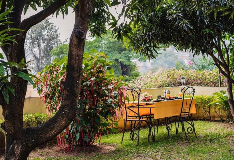 استودیوی سوپریور, Aparthotel Jardin Tropical