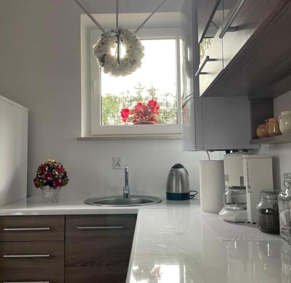 Номер Стандарт, Apartamenty Zaczarowany Ogród