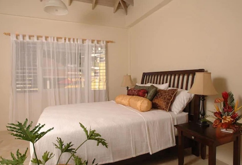 ویلای 2 خوابه با چشم‌انداز دریا, Grooms Beach Villa & Resort