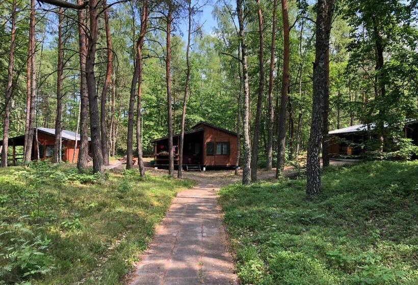Бунгало Стандарт, Leśnik Bungalow Stegna   Domki Letniskowe Nad Morzem