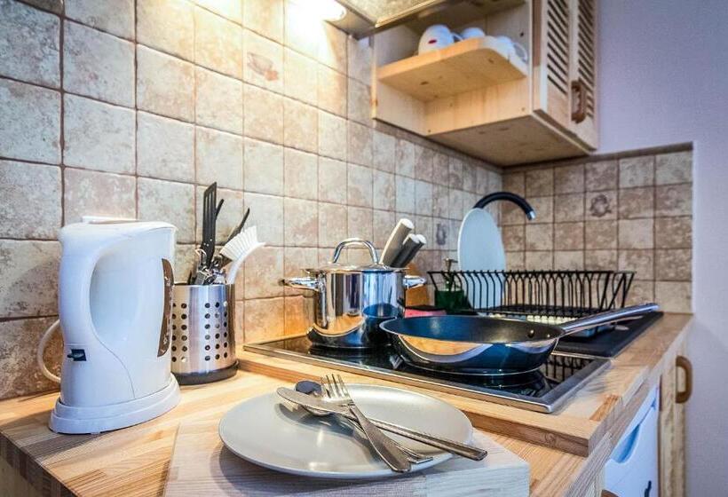 バルコニー付き１ベッドルームアパートメント, Aparthotel Pod Nosalem