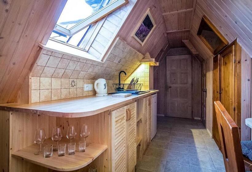 １ベッドルームアパートメント, Aparthotel Pod Nosalem