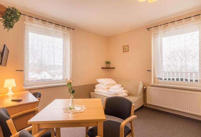 Студия Стандарт, Granada Pensjonat & Spa