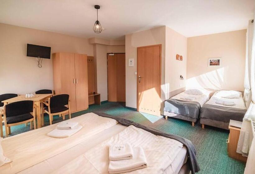 Номер Стандарт, Granada Pensjonat & Spa