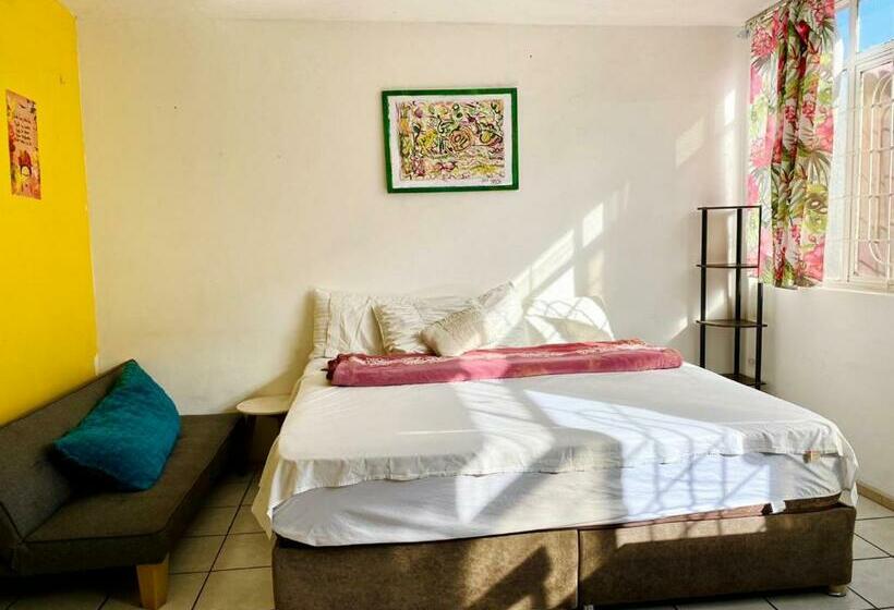 Superior Trippelrum, Free Spirit Hostel Guadalajara