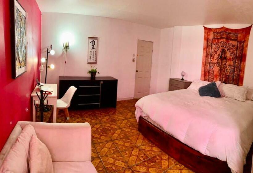 Superior Trippelrum, Free Spirit Hostel Guadalajara
